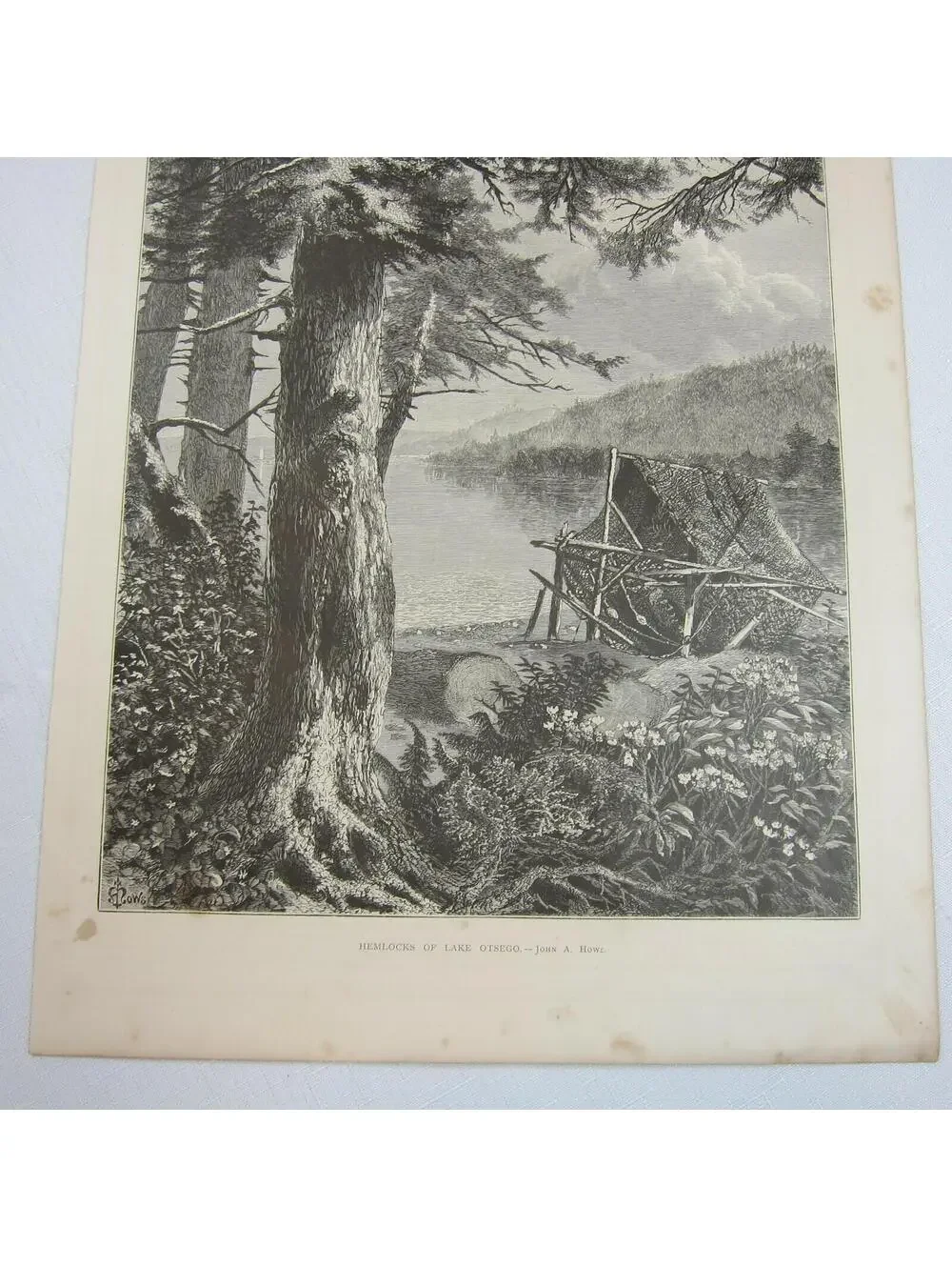 Art Print Hemlock Trees Lake Otsego New York Nature John A. Hows Antique 1874